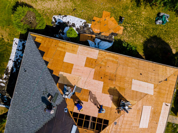 Best Local Roofing Companies  in Versailles, IN